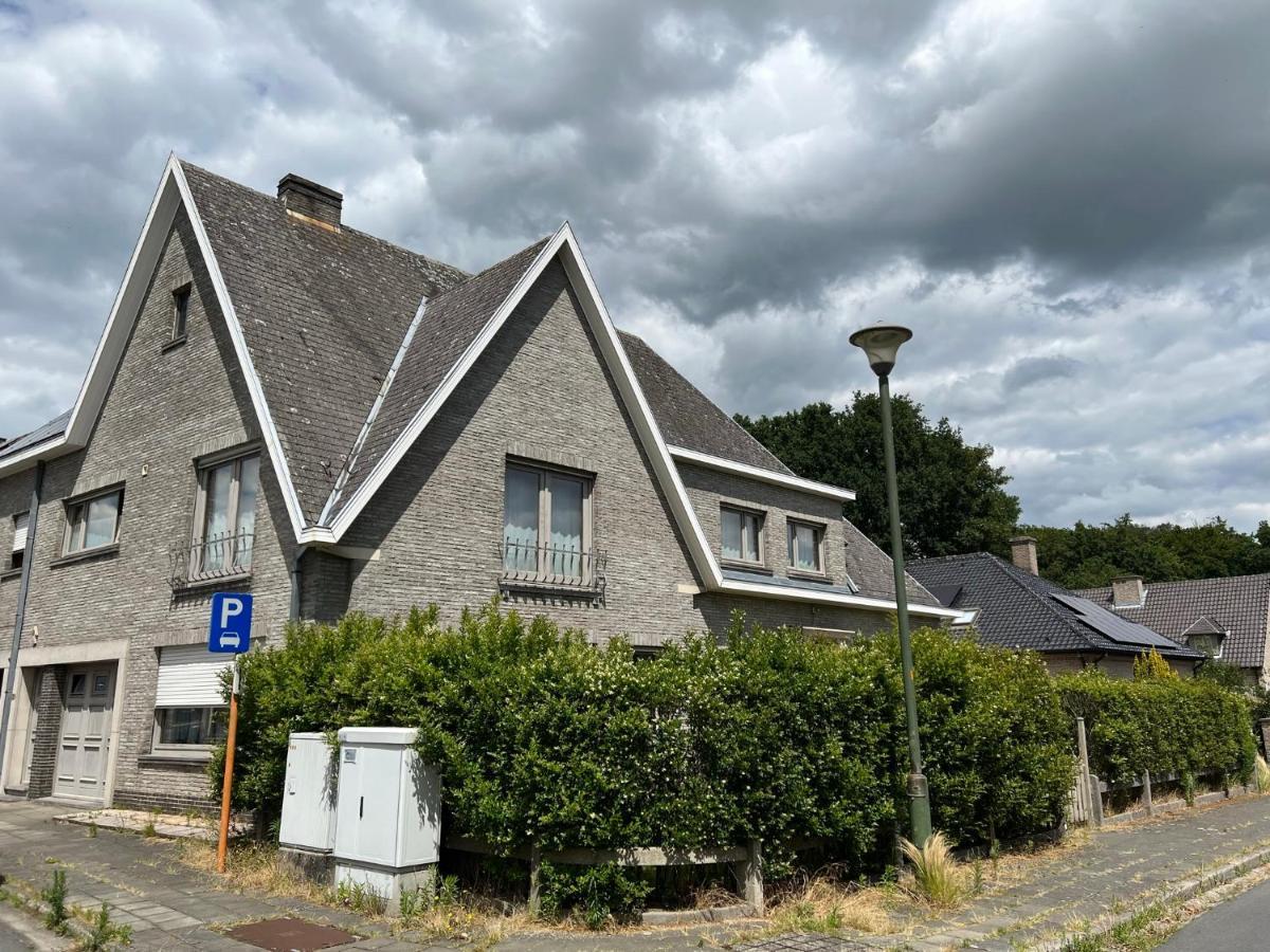 Appartement29 Wetteren Eksteriør bilde
